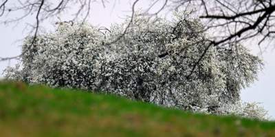 Gdzie się wybrać na spacer w Krakowie? Oto nasze ulubione miejsce - zdjęcie 19