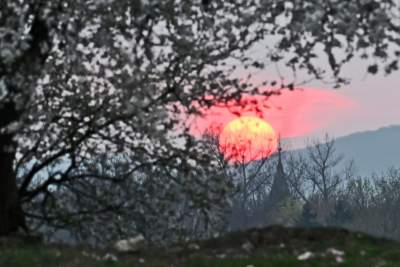 Gdzie się wybrać na spacer w Krakowie? Oto nasze ulubione miejsce - zdjęcie 6