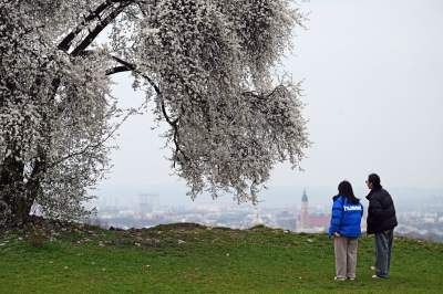 Gdzie się wybrać na spacer w Krakowie? Oto nasze ulubione miejsce - zdjęcie 11