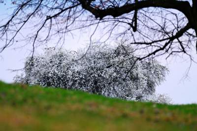 Gdzie się wybrać na spacer w Krakowie? Oto nasze ulubione miejsce - zdjęcie 17