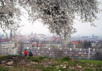 Gdzie się wybrać na spacer w Krakowie? Oto nasze ulubione miejsce - zdjęcie 8