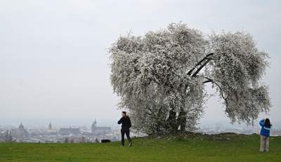 Gdzie się wybrać na spacer w Krakowie? Oto nasze ulubione miejsce - zdjęcie 9
