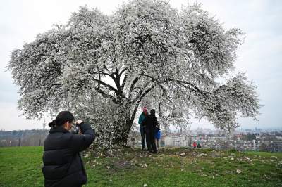 Gdzie się wybrać na spacer w Krakowie? Oto nasze ulubione miejsce - zdjęcie 4