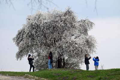 Gdzie się wybrać na spacer w Krakowie? Oto nasze ulubione miejsce - zdjęcie 16