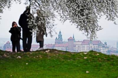 Gdzie się wybrać na spacer w Krakowie? Oto nasze ulubione miejsce - zdjęcie 15