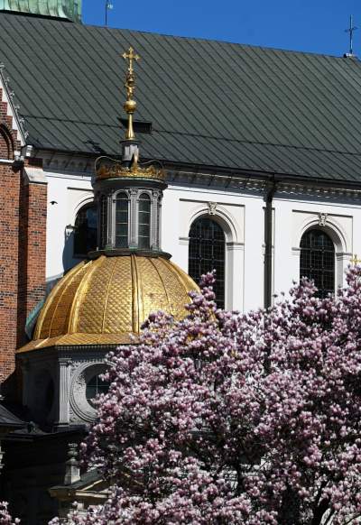 Wiosenne szaleństwo na Wawelu, kwitnie słynna magnolia i nie tylko... - zdjęcie 33