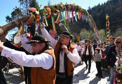 Tokarska bagnieć czyli Niedziela Palmowa w Tokarni - zdjęcie 14