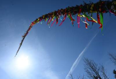 Tokarska bagnieć czyli Niedziela Palmowa w Tokarni - zdjęcie 13