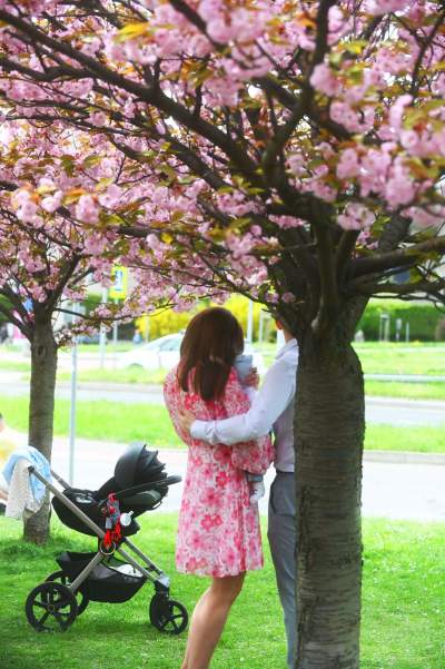 Prawie jak w Japonii, wyjątkowy zakątek w Krakowie przyciąga tłumy - zdjęcie 20