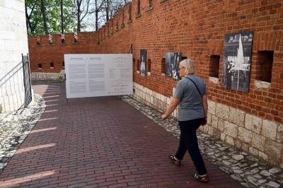 Współczesne rzeźby w ogrodach wawelskich, oryginalna wystawa - zdjęcie 33