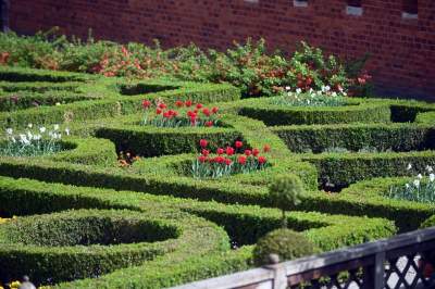 Współczesne rzeźby w ogrodach wawelskich, oryginalna wystawa - zdjęcie 32