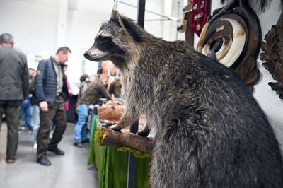 Zabawy dzieci z bronią na targach myśliwych w Krakowie, protesty aktywistów - zdjęcie 23