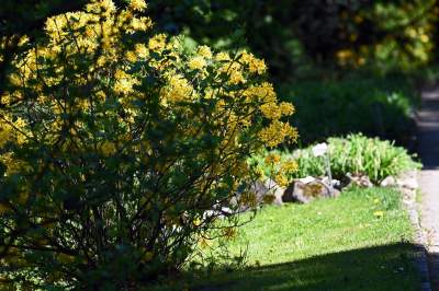 Najlepsze miejsce na spacer w Krakowie, zwłaszcza o tej porze roku - zdjęcie 34