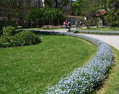 Najlepsze miejsce na spacer w Krakowie, zwłaszcza o tej porze roku - zdjęcie 7
