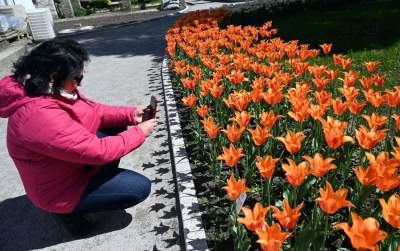 Najlepsze miejsce na spacer w Krakowie, zwłaszcza o tej porze roku - zdjęcie 10