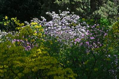 Najlepsze miejsce na spacer w Krakowie, zwłaszcza o tej porze roku - zdjęcie 44