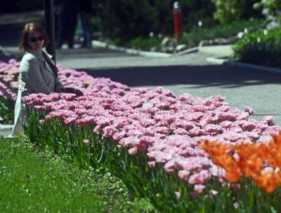 Najlepsze miejsce na spacer w Krakowie, zwłaszcza o tej porze roku - zdjęcie 57
