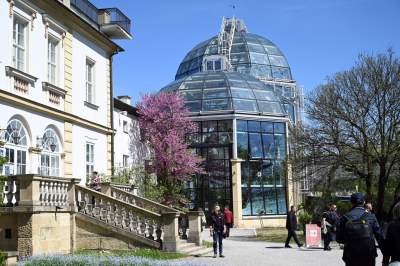 Najlepsze miejsce na spacer w Krakowie, zwłaszcza o tej porze roku - zdjęcie 5