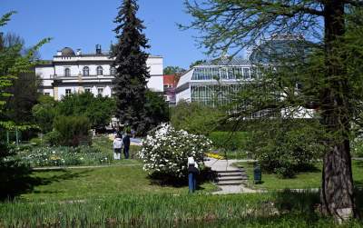 Najlepsze miejsce na spacer w Krakowie, zwłaszcza o tej porze roku - zdjęcie 38