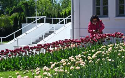Najlepsze miejsce na spacer w Krakowie, zwłaszcza o tej porze roku - zdjęcie 16