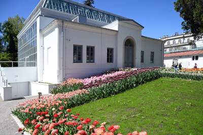 Najlepsze miejsce na spacer w Krakowie, zwłaszcza o tej porze roku - zdjęcie 19