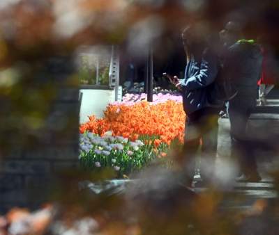 Najlepsze miejsce na spacer w Krakowie, zwłaszcza o tej porze roku - zdjęcie 53