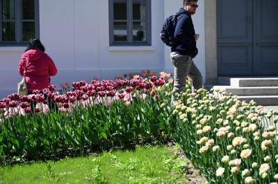 Najlepsze miejsce na spacer w Krakowie, zwłaszcza o tej porze roku - zdjęcie 17