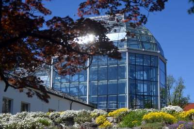 Najlepsze miejsce na spacer w Krakowie, zwłaszcza o tej porze roku - zdjęcie 52