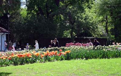Najlepsze miejsce na spacer w Krakowie, zwłaszcza o tej porze roku - zdjęcie 14