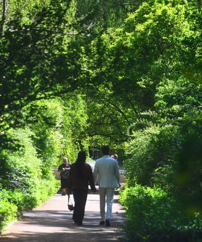Najlepsze miejsce na spacer w Krakowie, zwłaszcza o tej porze roku - zdjęcie 49
