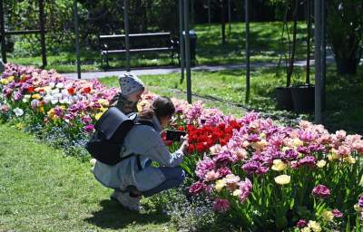 Najlepsze miejsce na spacer w Krakowie, zwłaszcza o tej porze roku - zdjęcie 2