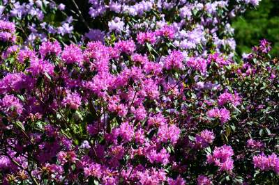 Najlepsze miejsce na spacer w Krakowie, zwłaszcza o tej porze roku - zdjęcie 45