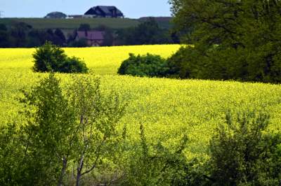 Słynna krzywa droga w Nowej Hucie i majowe klimaty koło Krakowa - zdjęcie 26