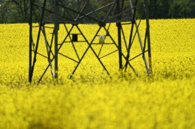 Słynna krzywa droga w Nowej Hucie i majowe klimaty koło Krakowa - zdjęcie 10