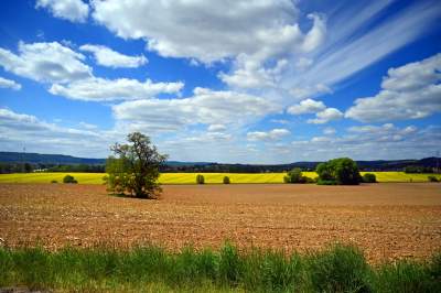 Słynna krzywa droga w Nowej Hucie i majowe klimaty koło Krakowa - zdjęcie 24