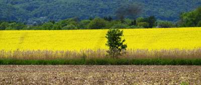 Słynna krzywa droga w Nowej Hucie i majowe klimaty koło Krakowa - zdjęcie 15