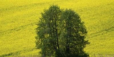 Słynna krzywa droga w Nowej Hucie i majowe klimaty koło Krakowa - zdjęcie 17