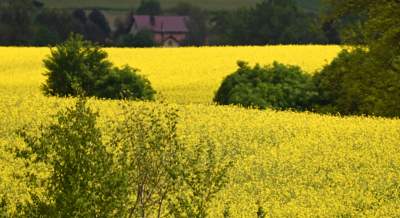 Słynna krzywa droga w Nowej Hucie i majowe klimaty koło Krakowa - zdjęcie 25