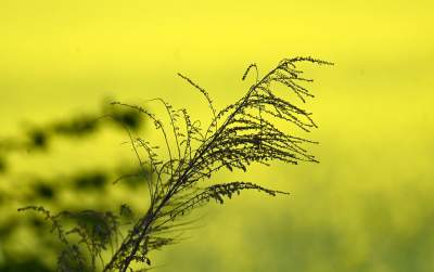 Słynna krzywa droga w Nowej Hucie i majowe klimaty koło Krakowa - zdjęcie 12