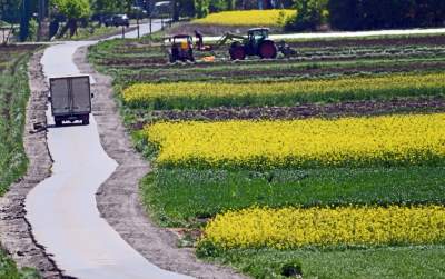 Słynna krzywa droga w Nowej Hucie i majowe klimaty koło Krakowa - zdjęcie 2
