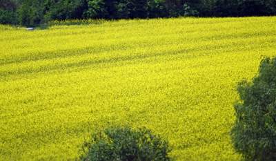 Słynna krzywa droga w Nowej Hucie i majowe klimaty koło Krakowa - zdjęcie 18
