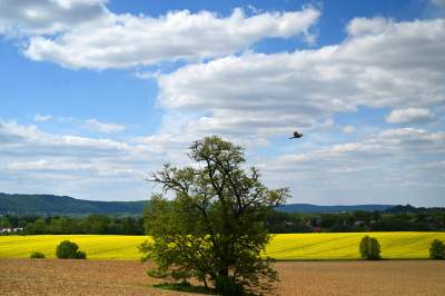 Słynna krzywa droga w Nowej Hucie i majowe klimaty koło Krakowa - zdjęcie 22