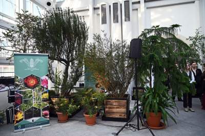 Zrekonstruowana XIX-wieczna oranżeria otwarta. Cudowne miejsce w Krakowie - zdjęcie 23