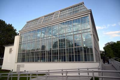 Zrekonstruowana XIX-wieczna oranżeria otwarta. Cudowne miejsce w Krakowie - zdjęcie 19