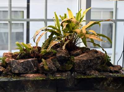 Zrekonstruowana XIX-wieczna oranżeria otwarta. Cudowne miejsce w Krakowie - zdjęcie 30