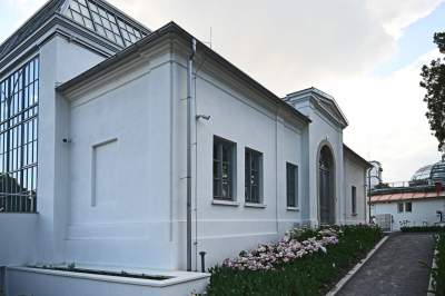 Zrekonstruowana XIX-wieczna oranżeria otwarta. Cudowne miejsce w Krakowie - zdjęcie 15