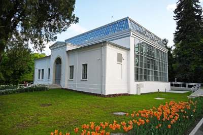 Zrekonstruowana XIX-wieczna oranżeria otwarta. Cudowne miejsce w Krakowie - zdjęcie 1