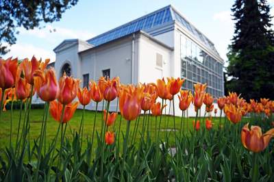 Zrekonstruowana XIX-wieczna oranżeria otwarta. Cudowne miejsce w Krakowie - zdjęcie 17