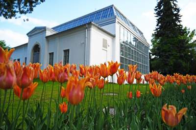 Zrekonstruowana XIX-wieczna oranżeria otwarta. Cudowne miejsce w Krakowie - zdjęcie 18