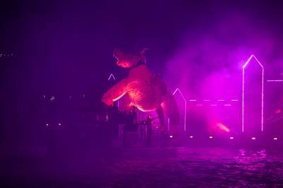 Rewelacyjny pokaz pod Wawelem, smokom towarzyszył królewski orszak - zdjęcie 48